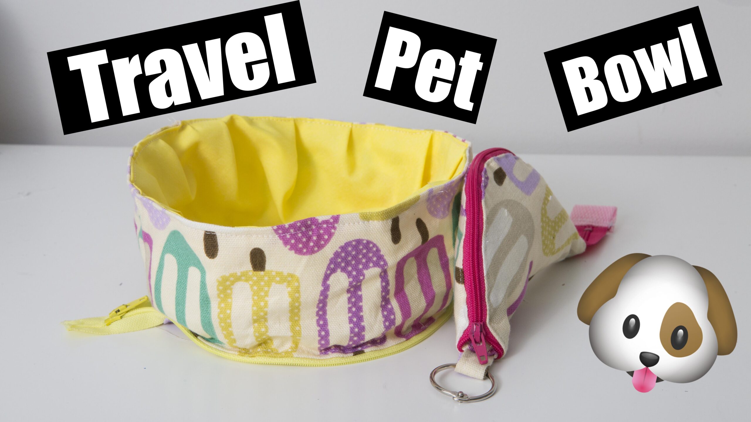 Travel Pet Bowl
